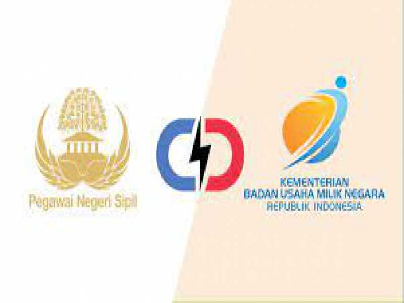 Serba-Serbi Memilih Antara PNS atau BUMN: Lebih Asyik Mana?